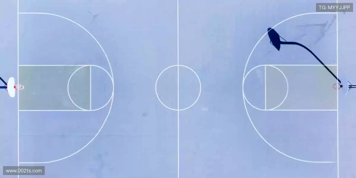 从训练场到直播间,你的热爱全程在线!📱